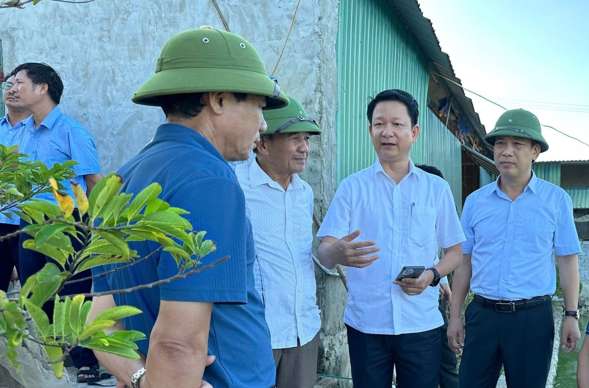 Cơ quan chuyên môn tỉnh Nghệ An đánh giá kết quả mô hinh nuôi cá rô phi Hồng Sinh ở xã Quỳnh Văn. Ảnh: Việt Khánh.