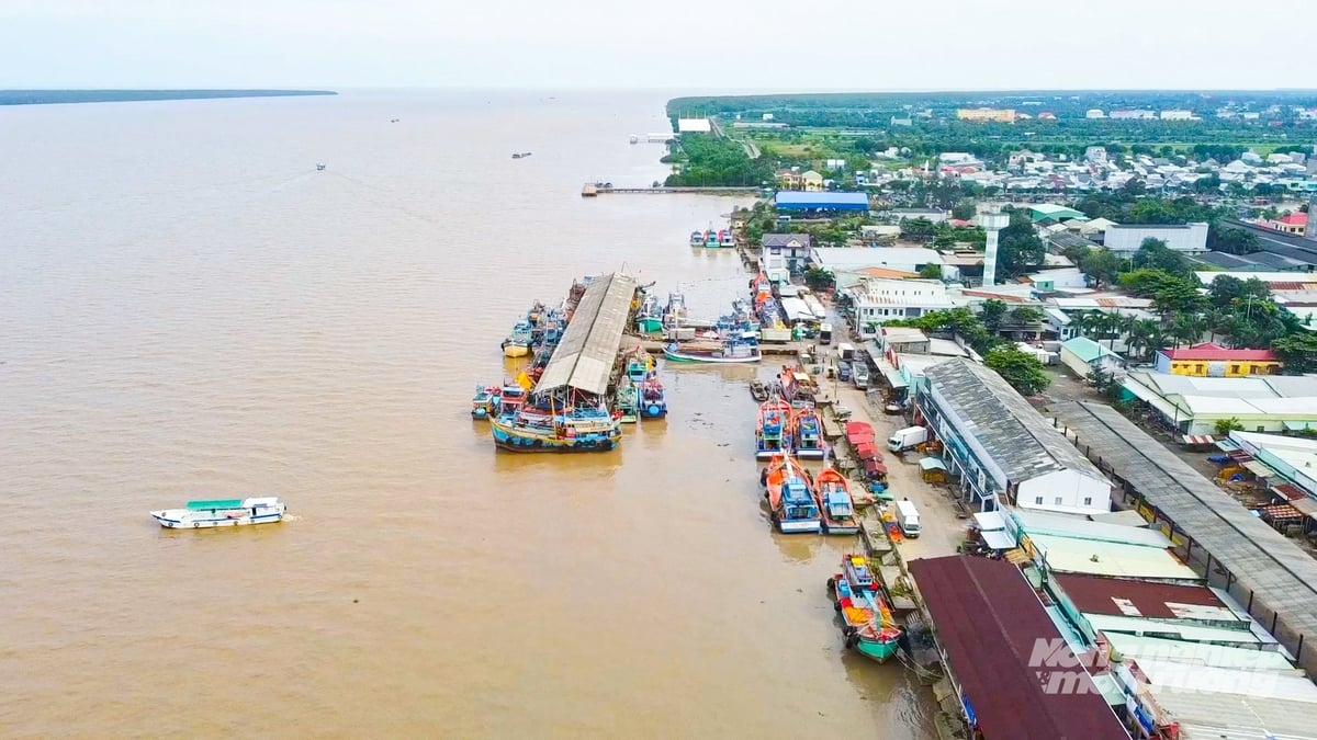 Toàn cảnh Cảng cá Trần Đề, trung tâm neo đậu, bốc dỡ hải sản lớn của TP Cần Thơ. Ảnh: Văn Vũ.