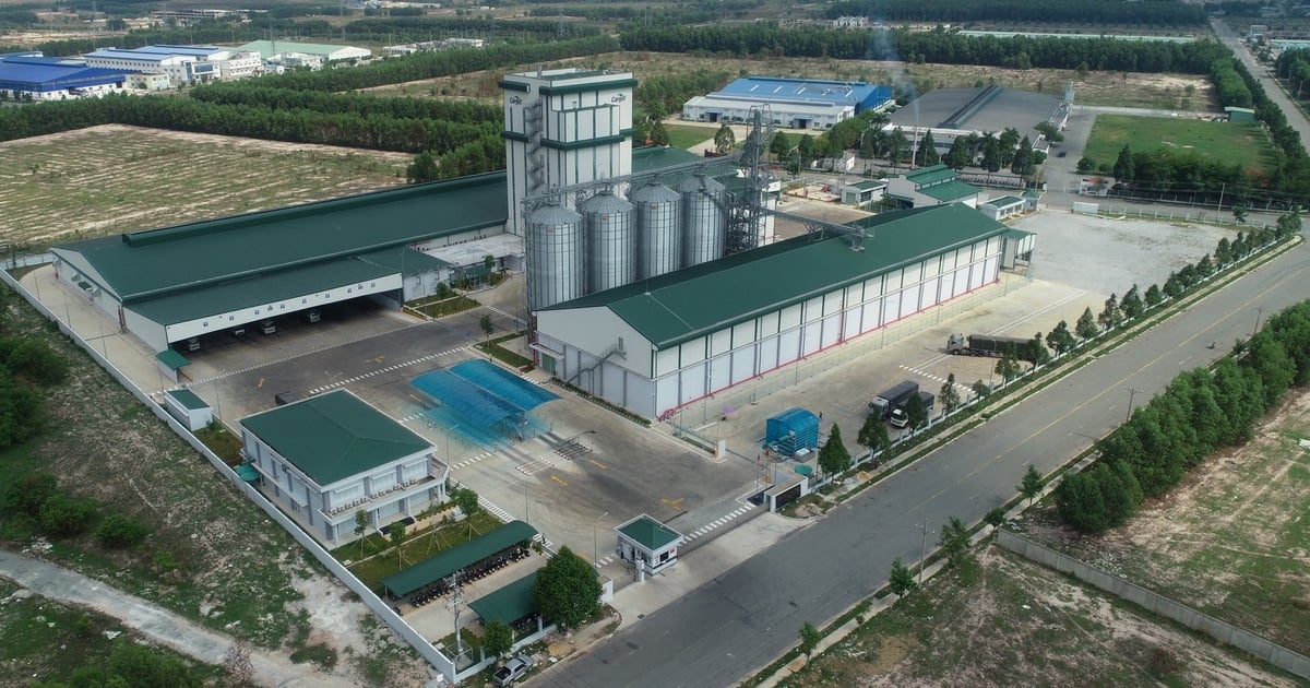 Nhà máy Cargill tại TP.HCM (địa phận Bình Dương cũ). Ảnh: Cargill.