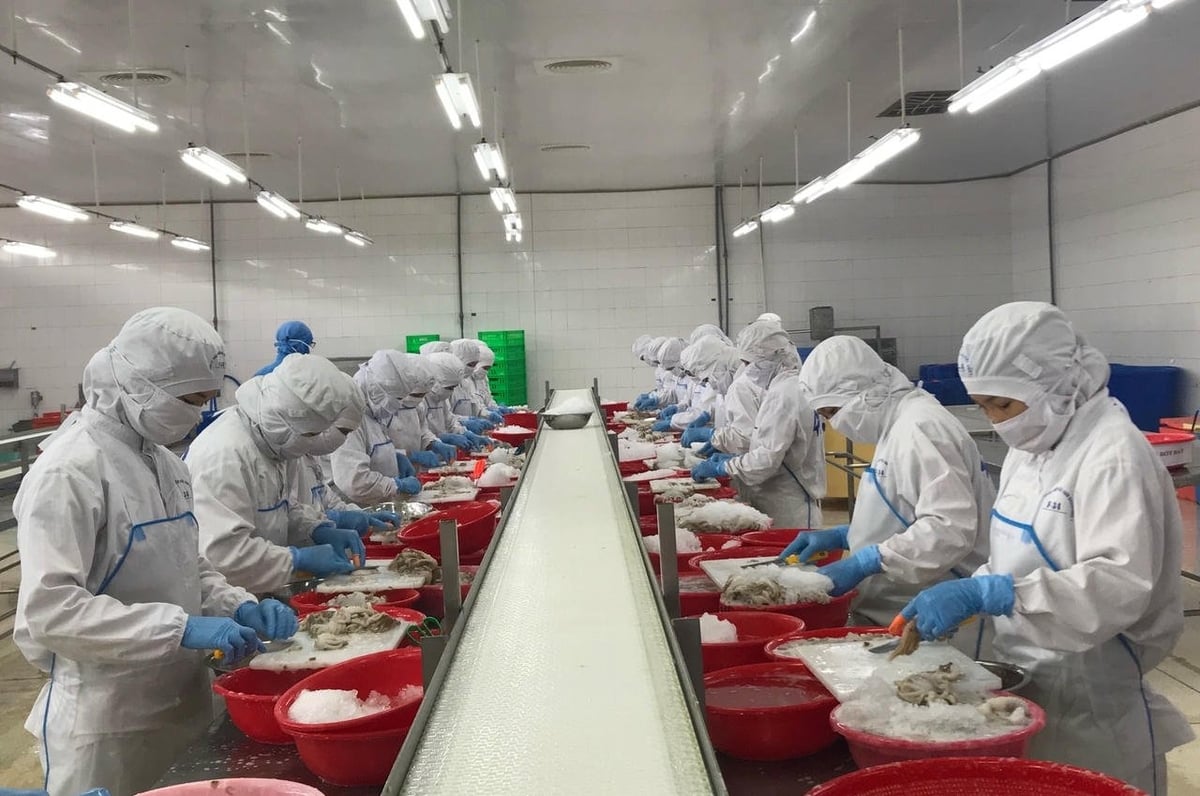 Xuất khẩu thủy sản năm 2025 có thể chạm mốc 10 tỷ USD. Ảnh: VASEP.