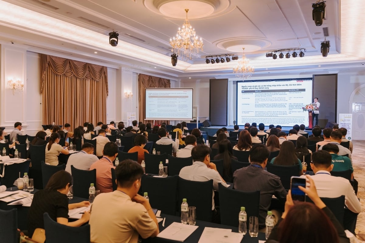 Các chuyên gia phân tích về xu hướng thị trường và chuyển dịch cấu trúc sản xuất các ngành xuất khẩu chủ lực như cá tra, nhằm thích ứng với áp lực từ rào cản thuế chồng thuế. Ảnh: Minh Sáng.
