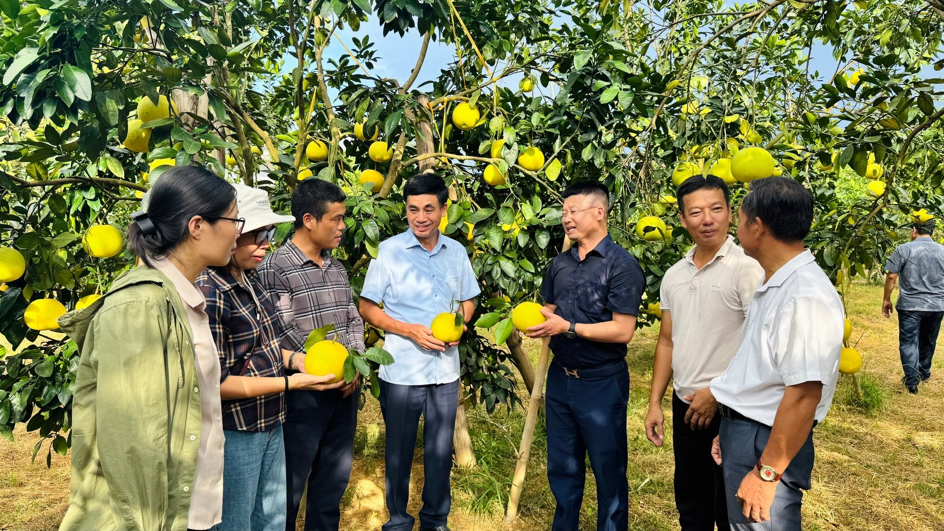 Thời gian tới, Trung tâm Khuyến nông Hà Tĩnh sẽ tiếp tục hỗ trợ tập huấn, chuyển giao kỹ thuật và kết nối tiêu thụ để nhân rộng mô hình. Ảnh: Ánh Nguyệt.