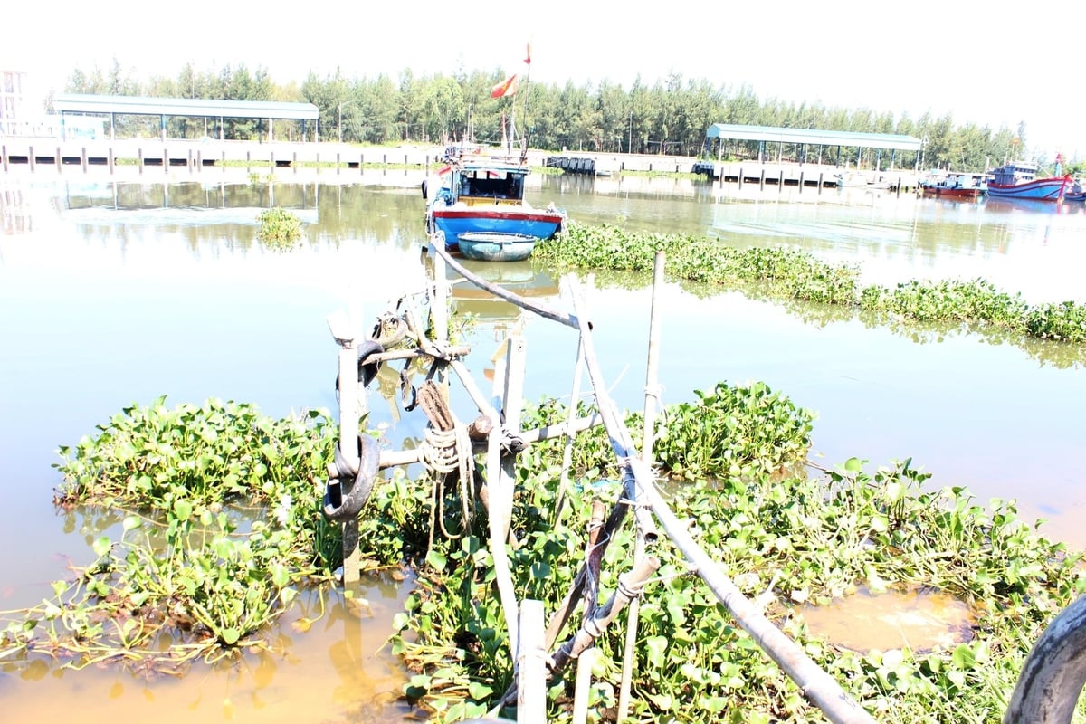 Nhiều hạng mục tại cảng cá Hồng Triều còn dang dở, cơ sở hạ tầng chưa đáp ứng yêu cầu hoạt động. Ảnh: Lan Anh.