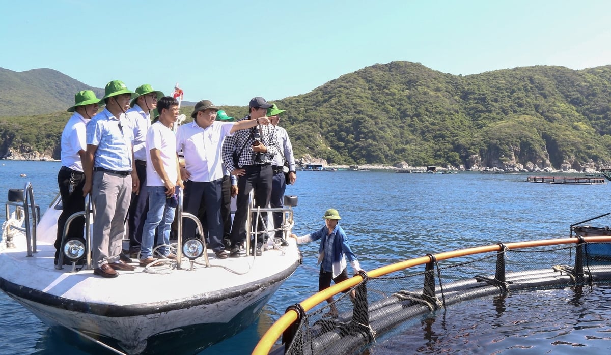 Tỉnh Khánh Hòa đang đẩy mạnh phát triển nuôi biển công nghệ cao bằng lồng HDPE. Ảnh: Kim Sơ.