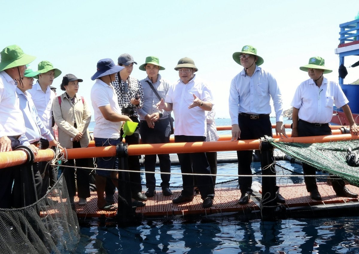 Lãnh đạo tỉnh Khánh Hòa thị sát vùng nuôi biển công nghệ cao tại Hòn Nội. Ảnh: Kim Sơ.