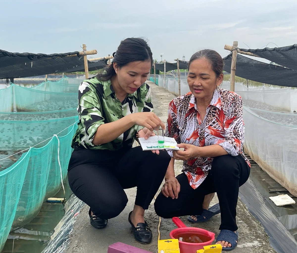 Quy trình kỹ thuật nuôi được cán bộ Trung tâm Khuyến nông Hải Phòng hướng dẫn kỹ cho bà con. Ảnh: Đinh Mười.