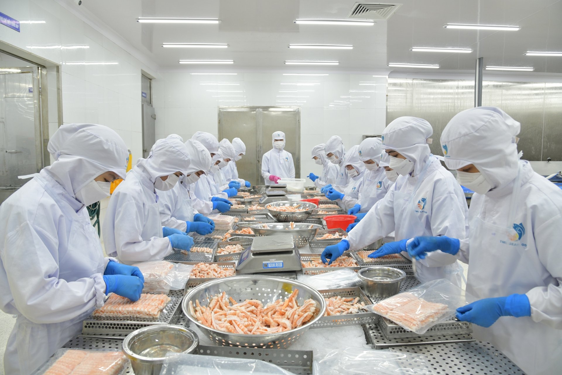 Năm 2025, kim ngạch xuất khẩu thủy sản Việt Nam dự kiến đạt mốc 10 tỷ USD. Ảnh: Hồng Thắm. Năm 2025, kim ngạch xuất khẩu thủy sản Việt Nam dự kiến đạt mốc 10 tỷ USD. Ảnh: Hồng Thắm.