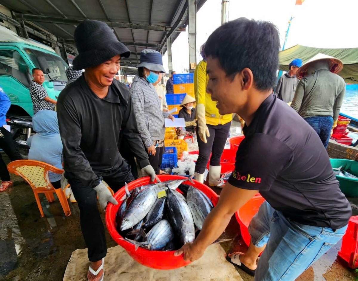 Ngư dân Khánh Hòa phấn khởi khi trở về cảng bán cá. Ảnh: Kim Sơ.
