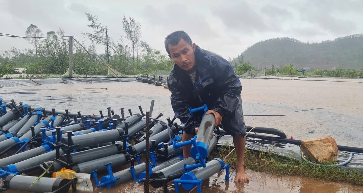 Dù đã vận dụng đủ cách nhưng ông Thông vẫn lực bất tòng tâm. Ảnh: Việt Khánh.