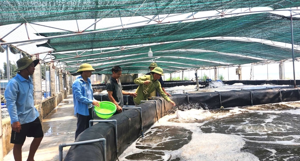 Nuôi tôm công nghệ cao là xu thế tất yếu. Ảnh: Việt Khánh.