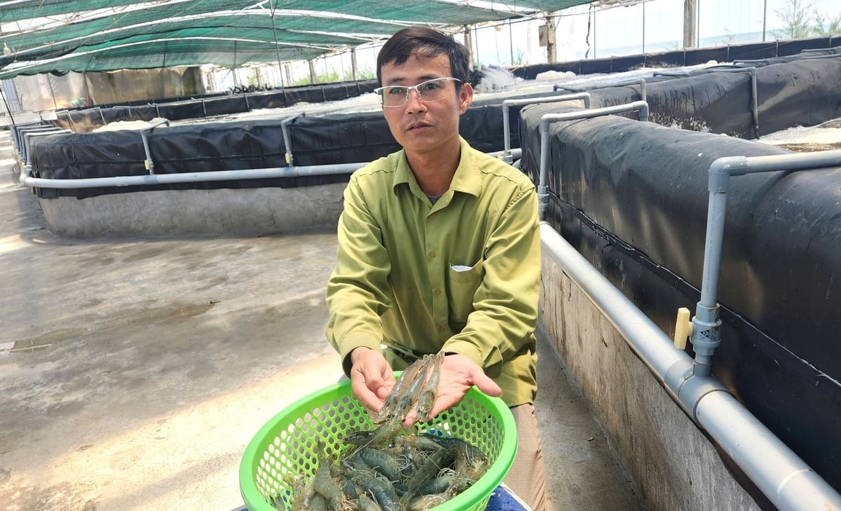 Sự mạnh bạo của ông Nguyễn Văn Hòa đã mang lại thành công ngoài mong đợi. Ảnh: Việt Khánh.