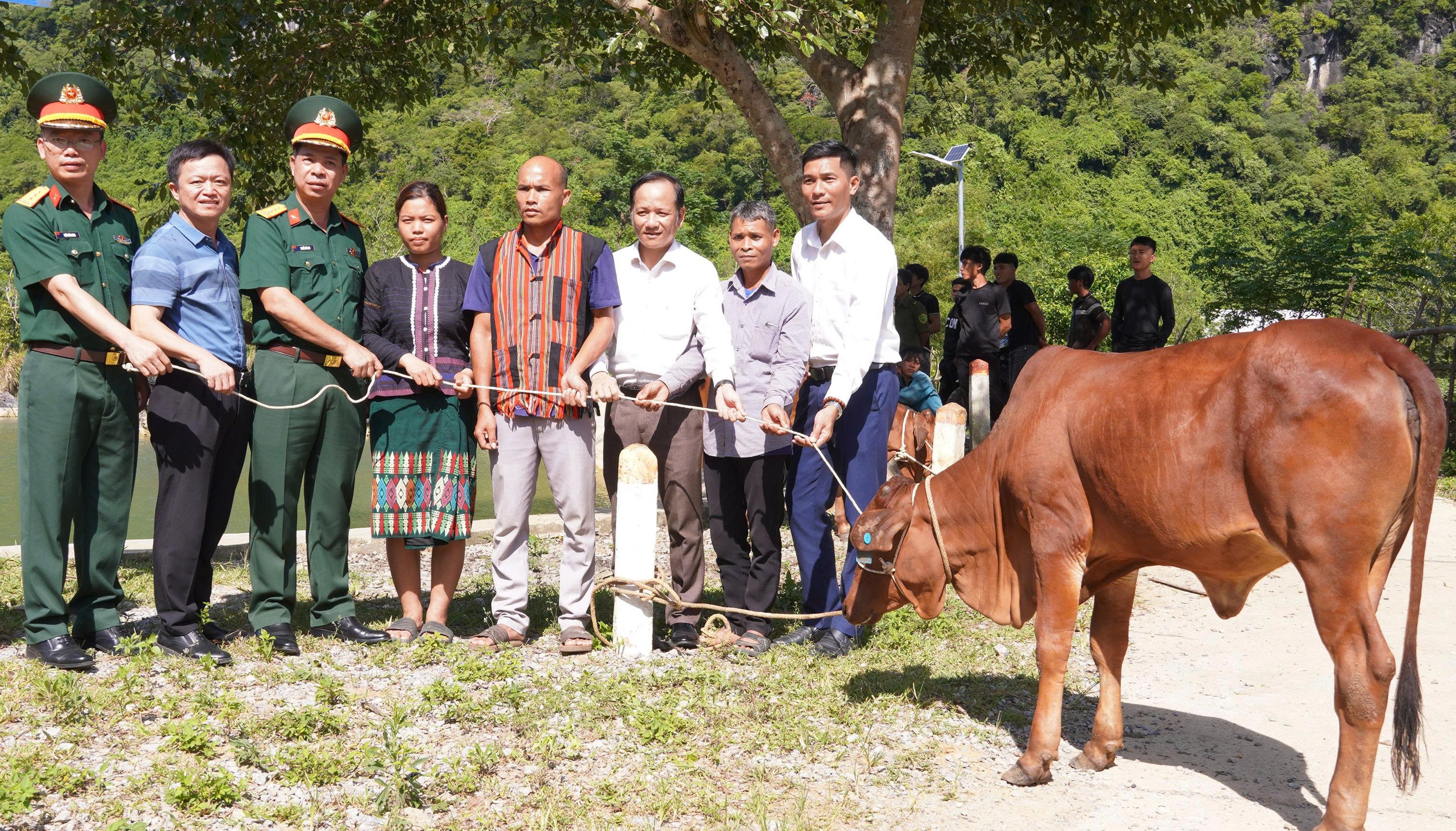 Trao bò giống sinh sản cho hộ nghèo, cận nghèo ở vùng miền núi xã Kim Ngân. Ảnh: T. Phùng.