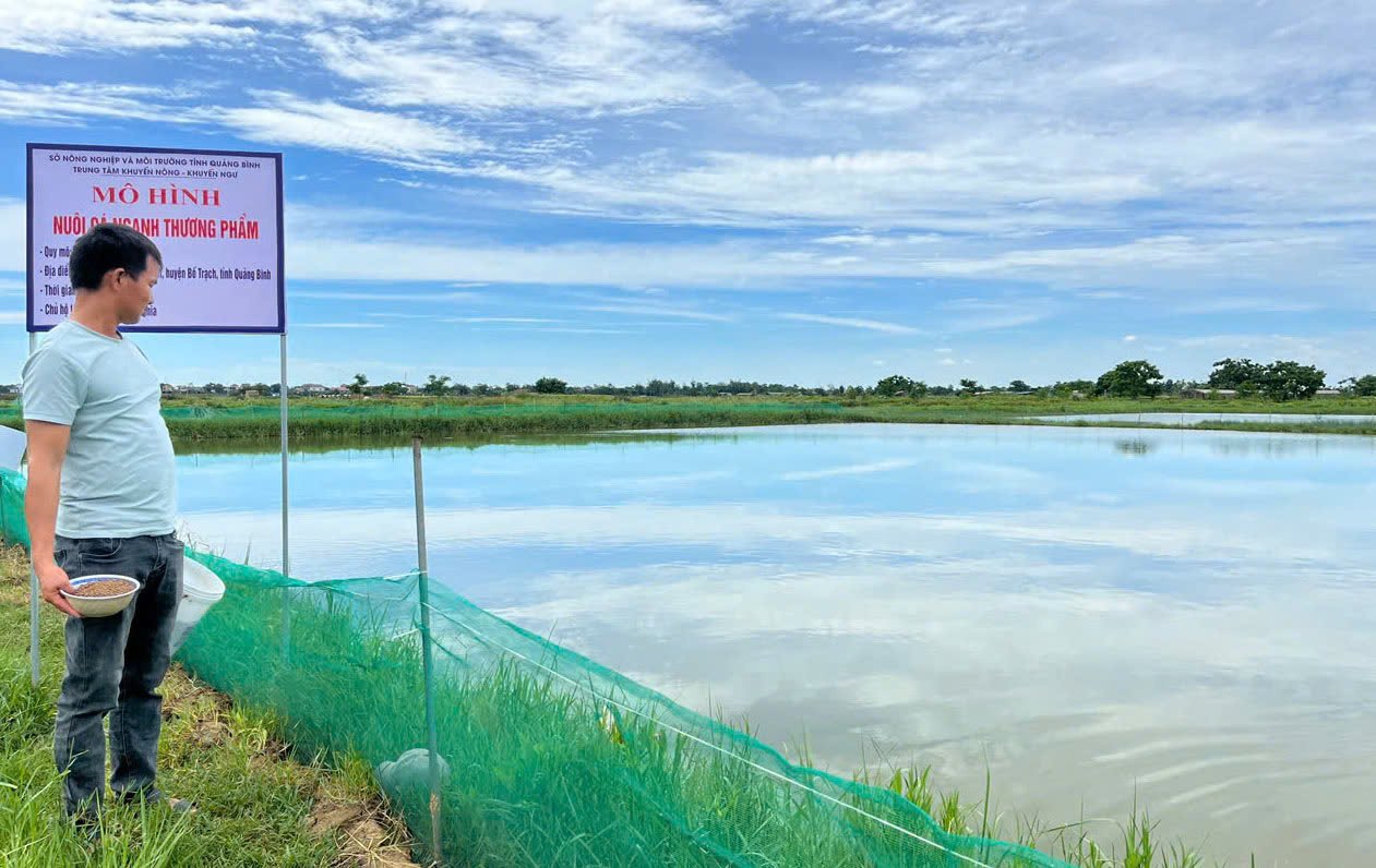 Vùng hồ mô hình muôi cá ngạnh tại xã Đông Trạch (Quảng Trị). Ảnh: T. Phùng. Vùng hồ mô hình muôi cá ngạnh tại xã Đông Trạch (Quảng Trị). Ảnh: T. Phùng.