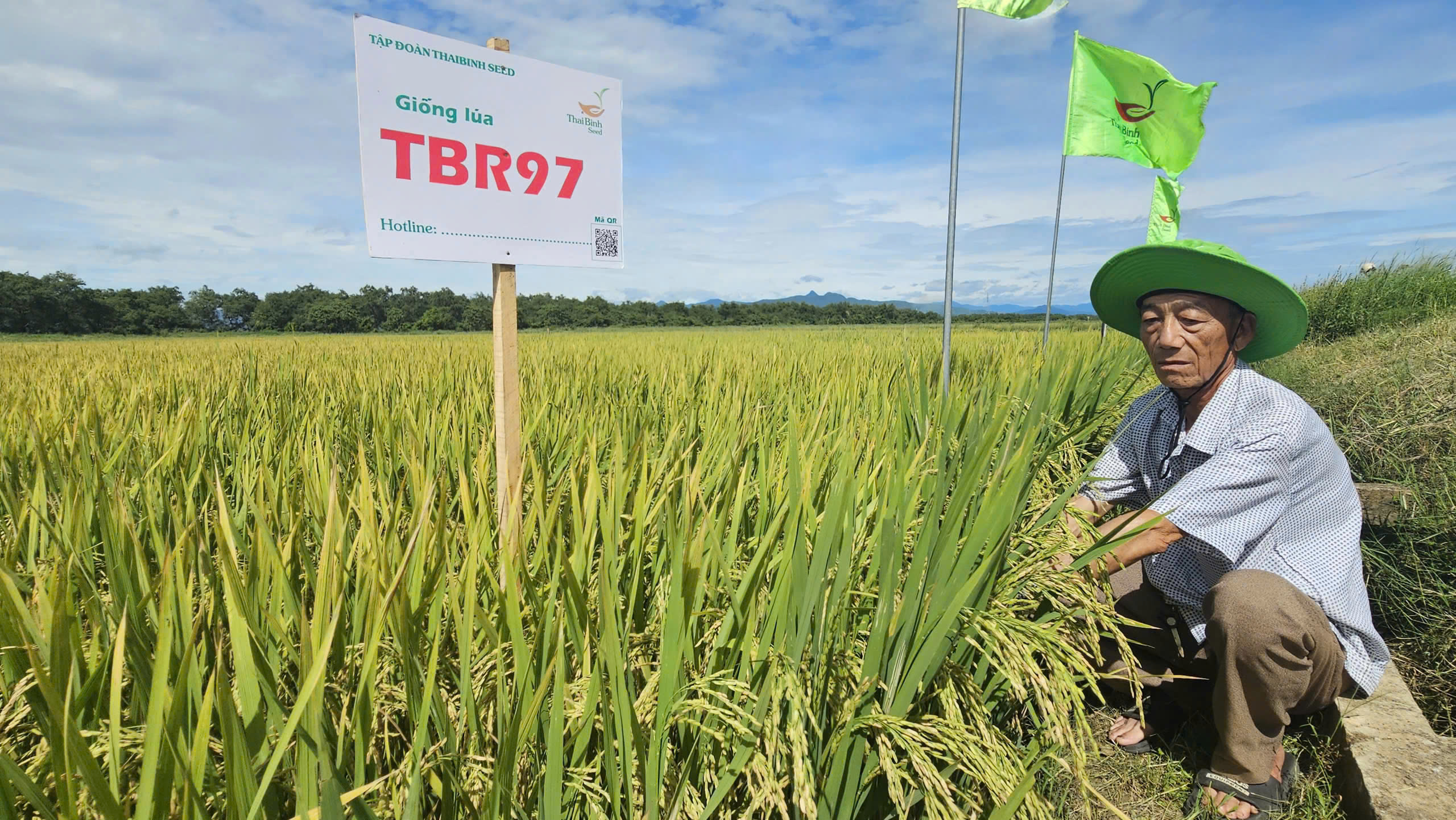 Ông Mai Ngọc Quý và nhiều nông dân đánh giá ruộng mô hình đạt năng suất khoảng 70 tạ/ha. Ảnh: T. Đức.