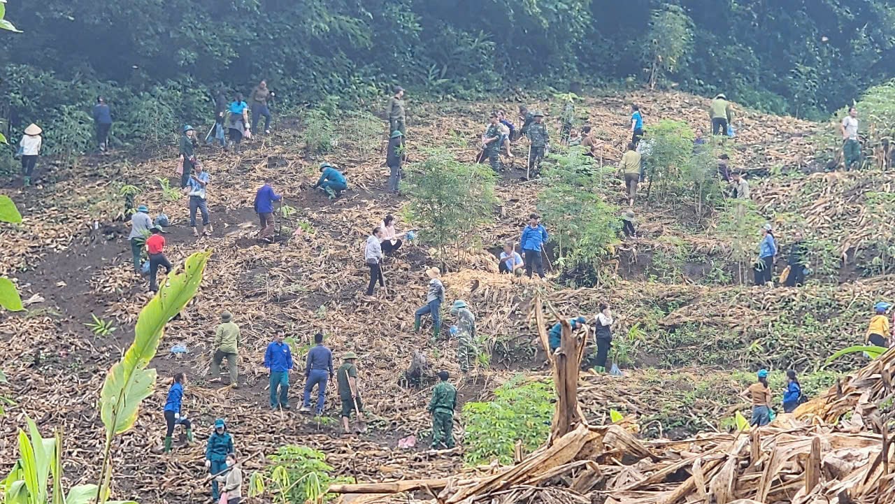 Phong trào 'Triệu cây măng Bát Độ' lan tỏa mạnh mẽ, thu hút sự tham gia của đông đảo nhân dân Gia Phù. Ảnh: Thu Phương.