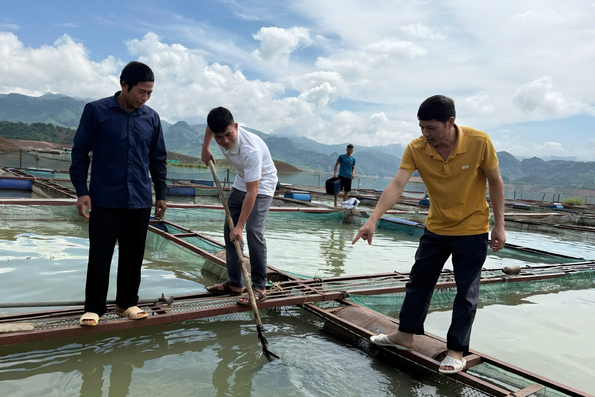 Người dân xã Quỳnh Nhai thoát nghèo từ nuôi cá lồng. Ảnh: Nguyễn Nga.