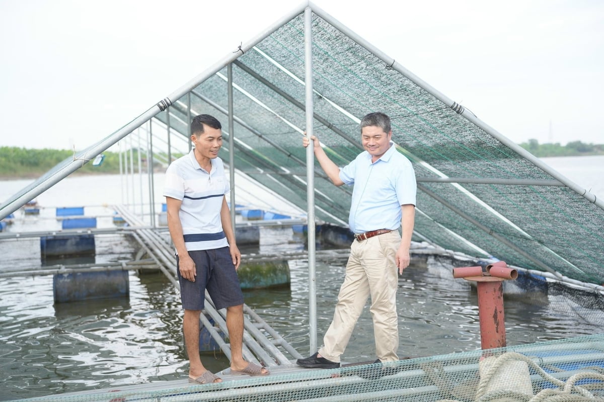 Mái che được anh Việt tự thiết kế giúp làm mát, bảo vệ đàn cá tầm trong mùa nóng. Ảnh: Phạm Minh. Mái che được anh Việt tự thiết kế giúp làm mát, bảo vệ đàn cá tầm trong mùa nóng. Ảnh: Phạm Minh.