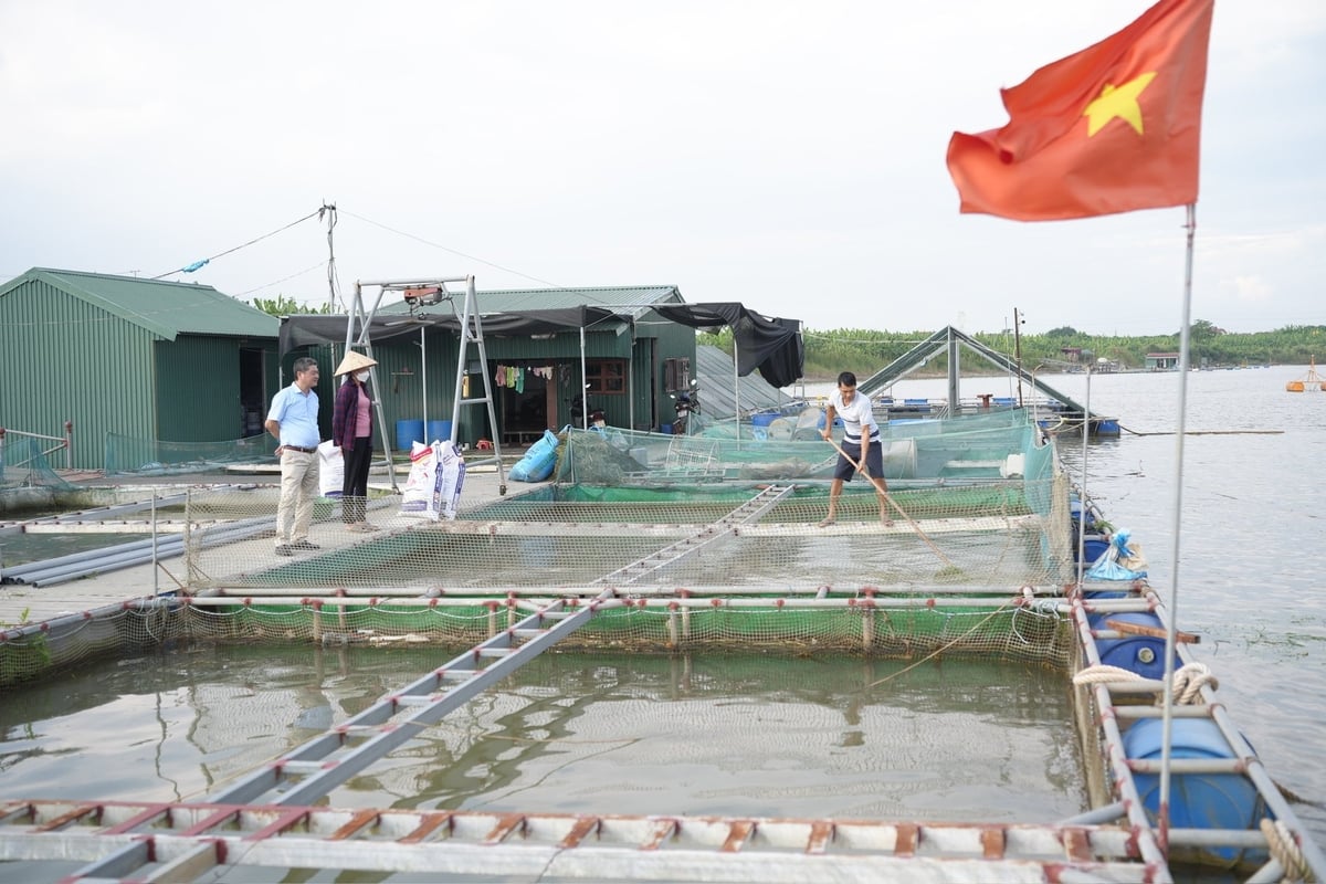 Khu lồng nuôi cá bỗng trên sông của gia đình anh Trương Văn Việt tại xã Chi Lăng, tỉnh Bắc Ninh. Ảnh: Phạm Minh. Khu lồng nuôi cá bỗng trên sông của gia đình anh Trương Văn Việt tại xã Chi Lăng, tỉnh Bắc Ninh. Ảnh: Phạm Minh.