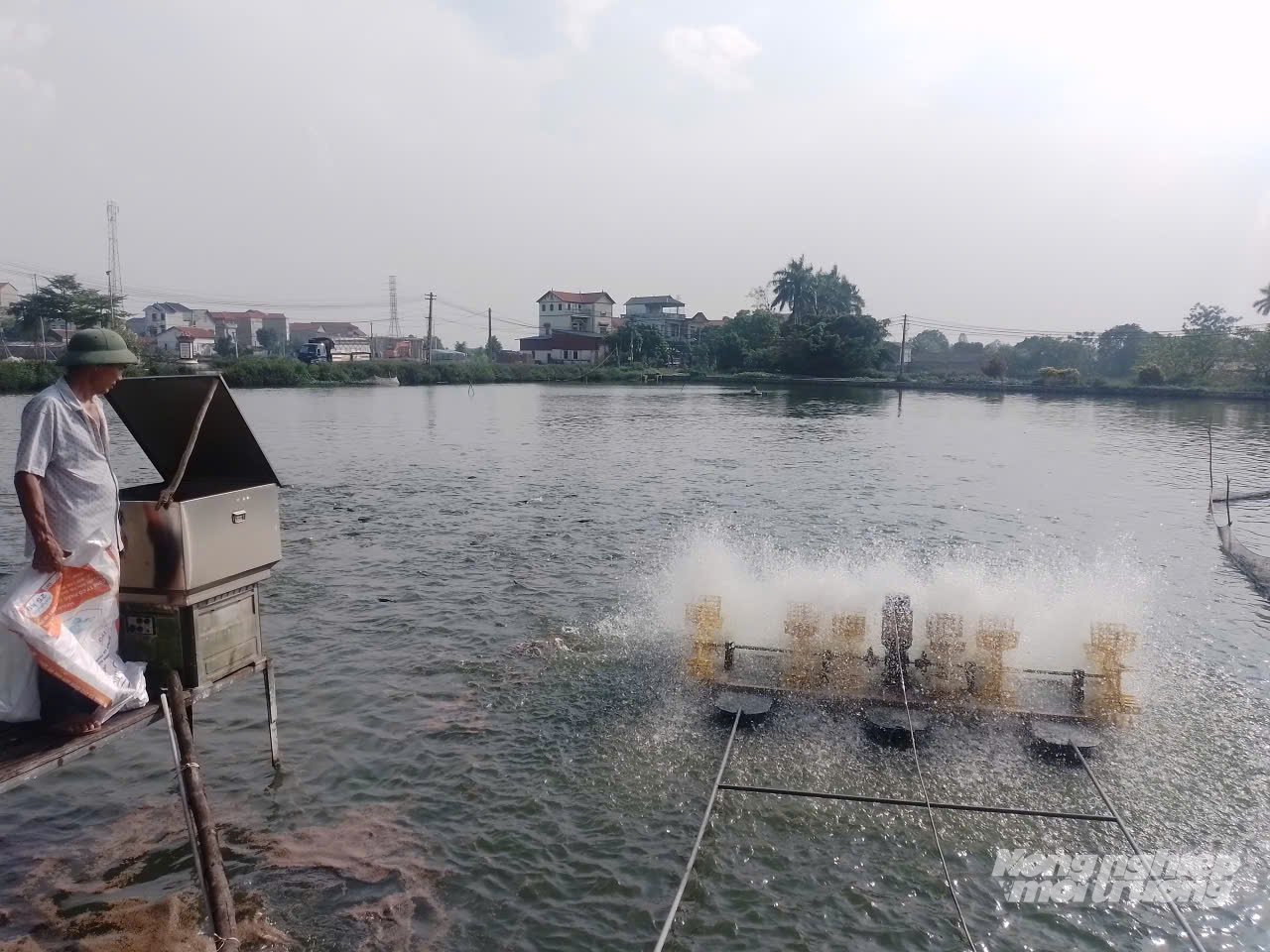 Ông Vũ Văn Nghề cho cá ăn. Ảnh: Hải Tiến.