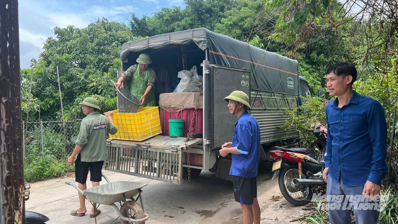Cán bộ khuyến nông cấp hỗ trợ cá giống cho các hộ nuôi thủy sản. Ảnh: Hải Tiến.