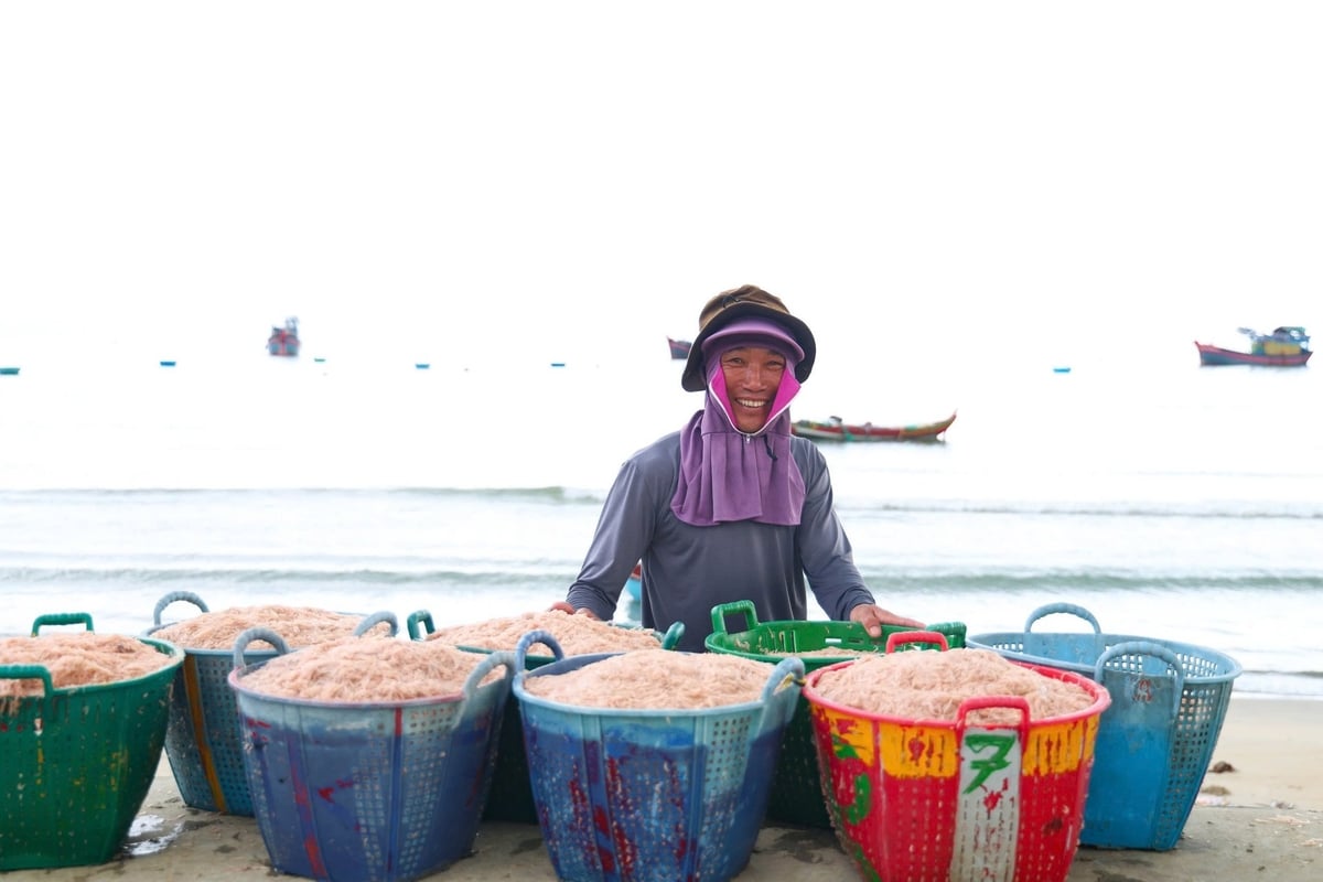 Vụ khai thác này ngư dân rất phấn khởi vì được mùa ruốc biển. Ảnh: L.K. Vụ khai thác này ngư dân rất phấn khởi vì được mùa ruốc biển. Ảnh: L.K.