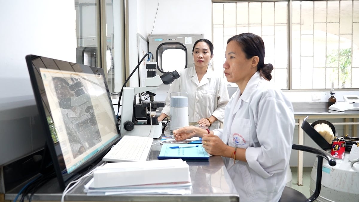 Phòng lưu trữ tinh đông lạnh dạng cọng rạ của Trung tâm Giống gia súc lớn Trung ương. Ảnh: An Khang.