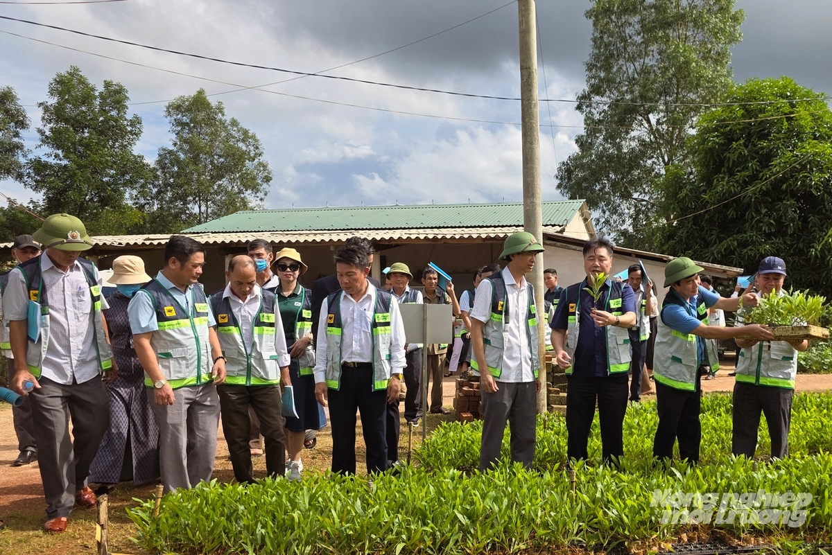 Trong tình hình mới, khuyến nông hoạt động với nguyên tắc xuyên suốt: 'Ở đâu có nông dân, ở đó phải có khuyến nông'. Ảnh: Võ Dũng. Trong tình hình mới, khuyến nông hoạt động với nguyên tắc xuyên suốt: 'Ở đâu có nông dân, ở đó phải có khuyến nông'. Ảnh: Võ Dũng.
