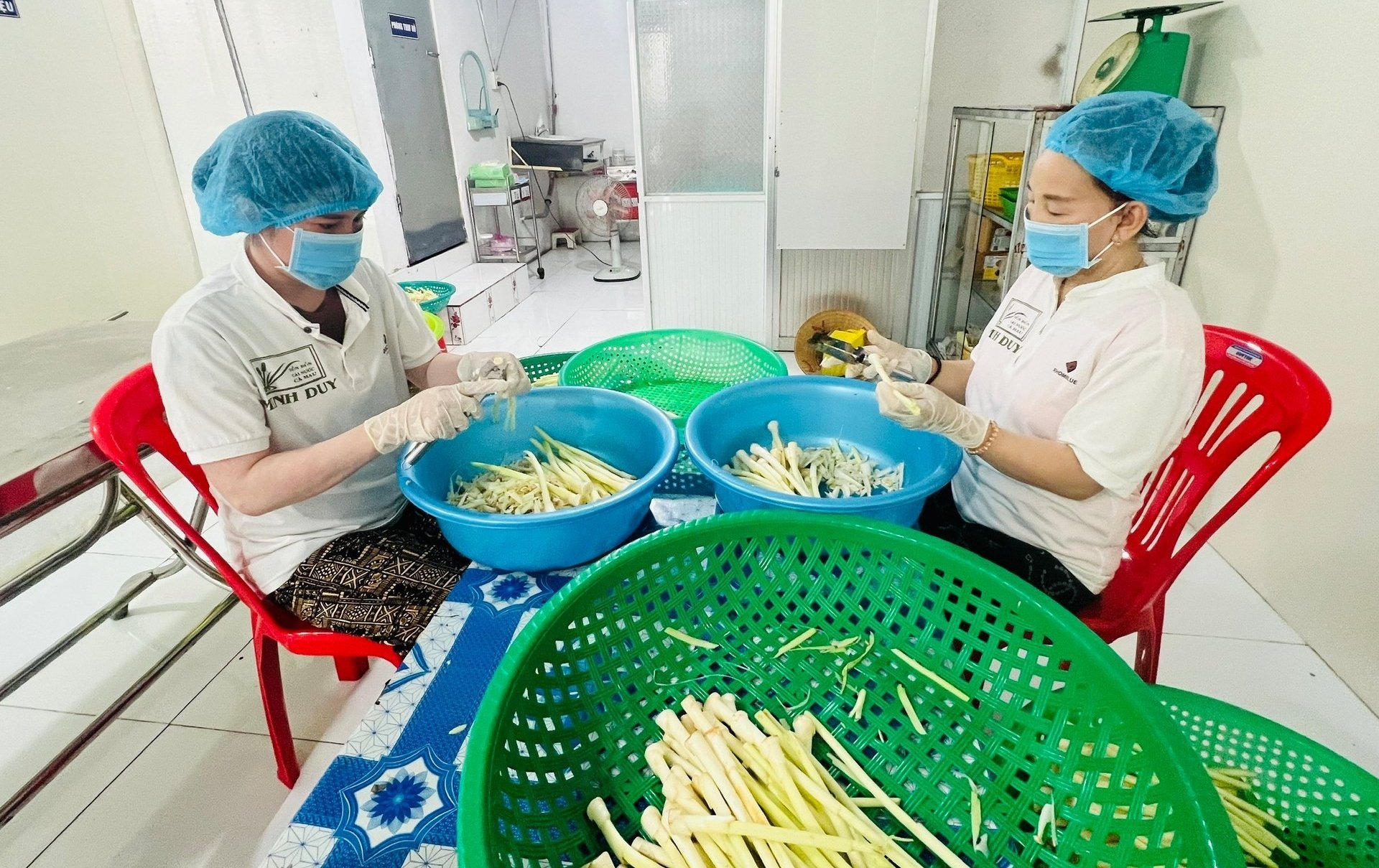 Khu chế biến bồn bồn. Ảnh: Trọng Linh.