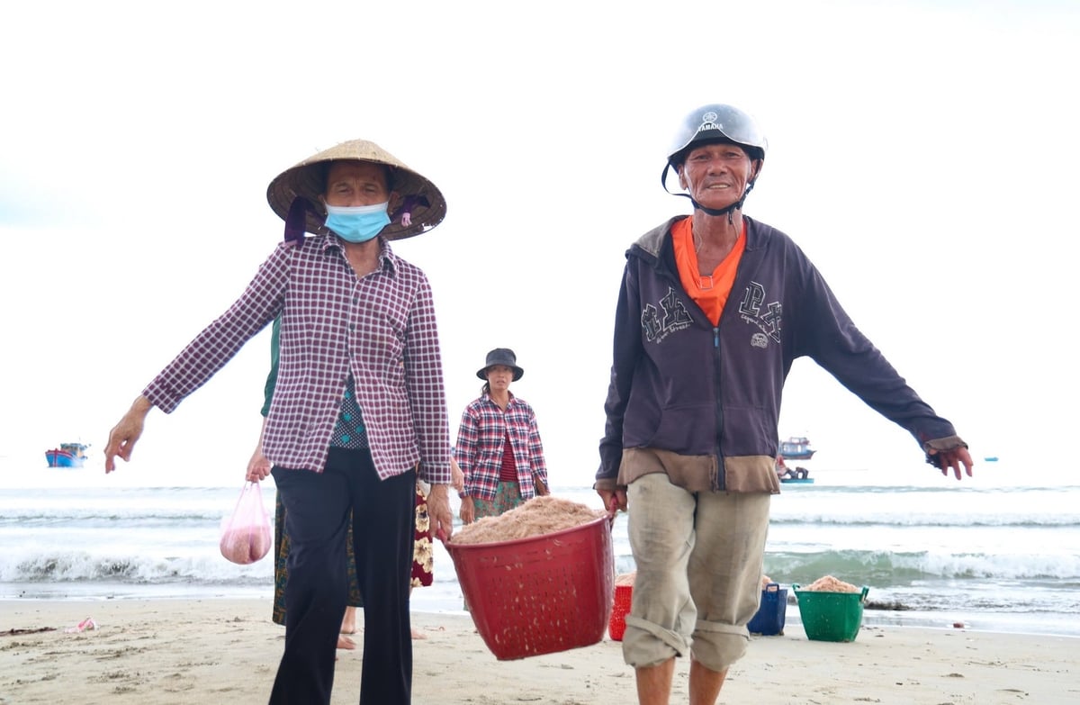 Ruốc tươi sau khi vận chuyển vào bờ sẽ bán cho thương lái với giá từ 15.000 - 20.000 đồng/kg. Ảnh: L.K. Ruốc tươi sau khi vận chuyển vào bờ sẽ bán cho thương lái với giá từ 15.000 - 20.000 đồng/kg. Ảnh: L.K.