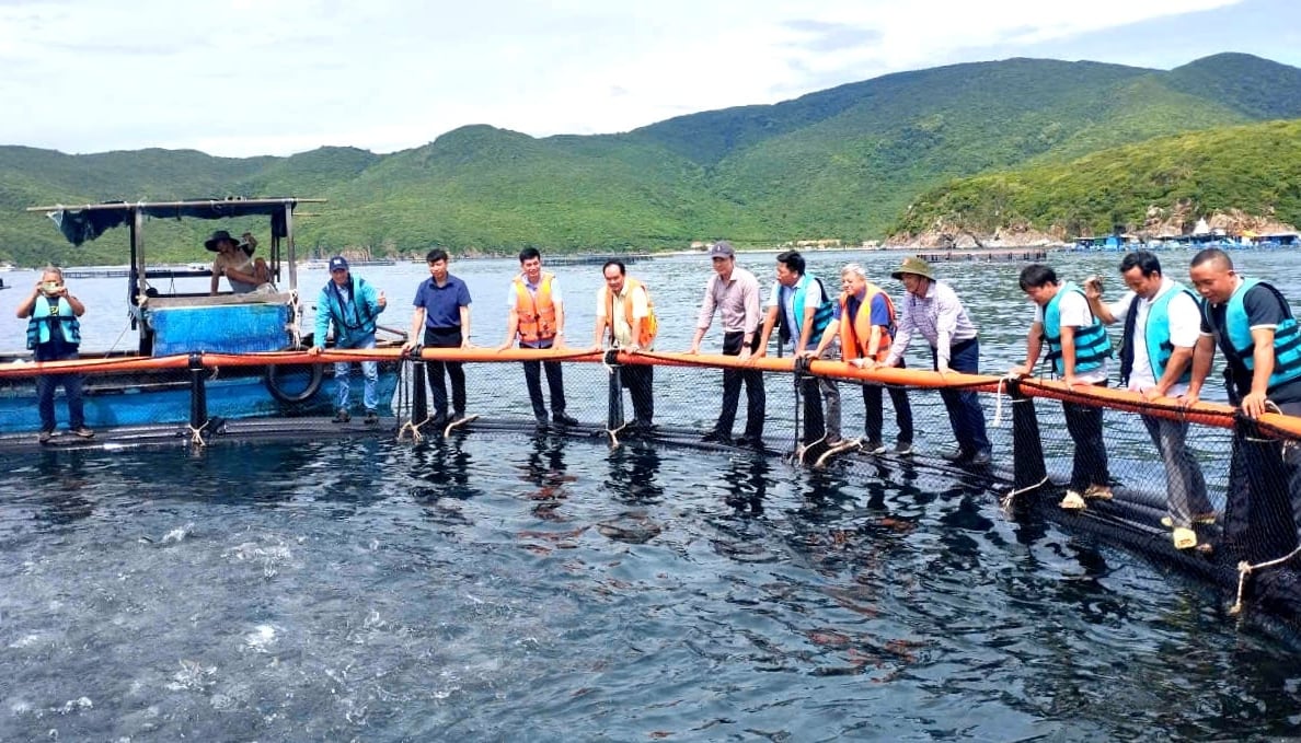 Các đại biểu tham quan mô hình nuôi biển bằng lồng HDPE tại tỉnh Khánh Hòa. Ảnh: Kim Sơ. Các đại biểu tham quan mô hình nuôi biển bằng lồng HDPE tại tỉnh Khánh Hòa. Ảnh: Kim Sơ.