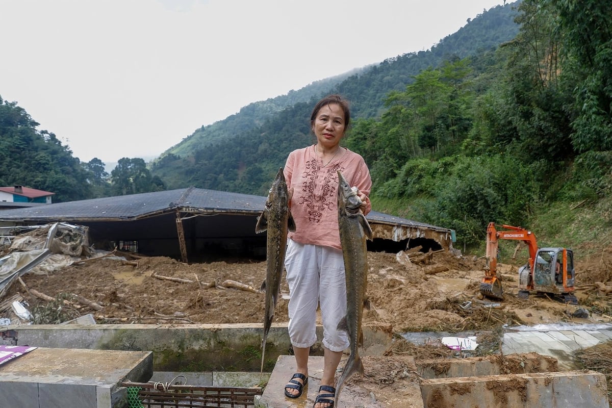 Bà Thanh xót xa khi những con cá tầm đã nuôi 3 năm mất trắng. Ảnh: Khương Trung. Bà Thanh xót xa khi những con cá tầm đã nuôi 3 năm mất trắng. Ảnh: Khương Trung.