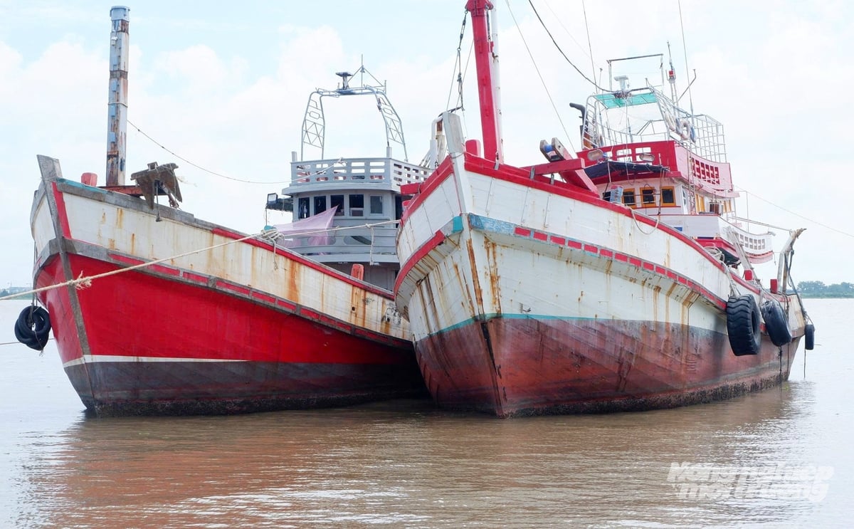 Nhiều tàu cá tại khu vực cửa sông Cái Lớn, cảng cá Tắc Cậu được lực lượng chức năng thường xuyên kiểm tra, giám sát chặt chẽ trước khi xuất bến nhằm ngăn chặn tình trạng khai thác hải sản bất hợp pháp (IUU). Ảnh: Lê Hoàng Vũ. Nhiều tàu cá tại khu vực cửa sông Cái Lớn, cảng cá Tắc Cậu được lực lượng chức năng thường xuyên kiểm tra, giám sát chặt chẽ trước khi xuất bến nhằm ngăn chặn tình trạng khai thác hải sản bất hợp pháp (IUU). Ảnh: Lê Hoàng Vũ.
