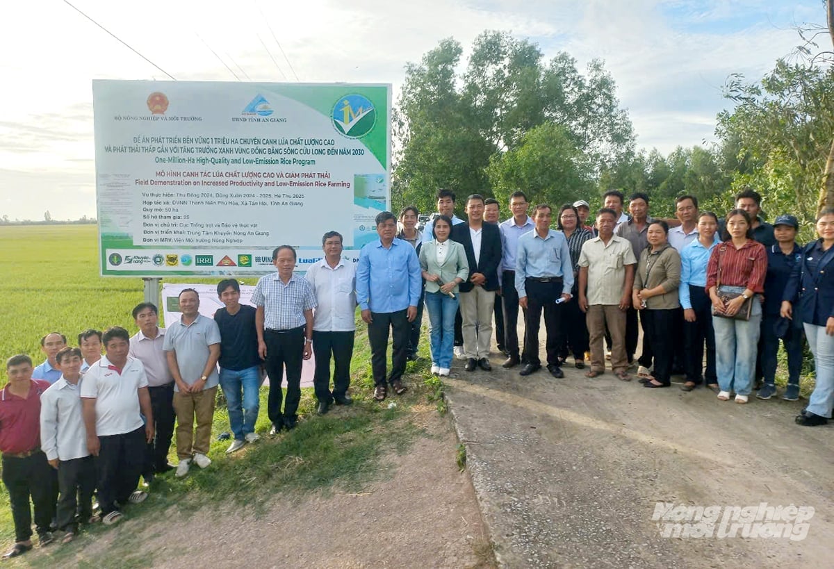 Lãnh đạo Bộ Nông nghiệp và Môi trường cùng lực lượng khuyến nông cơ sở và doanh nghiệp khảo sát cánh đồng triển khai Đề án 1 triệu hecta lúa ở An Giang. Ảnh: Lê Hoàng Vũ. Lãnh đạo Bộ Nông nghiệp và Môi trường cùng lực lượng khuyến nông cơ sở và doanh nghiệp khảo sát cánh đồng triển khai Đề án 1 triệu hecta lúa ở An Giang. Ảnh: Lê Hoàng Vũ.