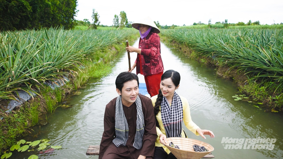 Cần Thơ xây dựng và phát triển vùng trồng khóm xã Hỏa Lựu thành làng du lịch sinh thái gắn với văn hóa đặc sắc của địa phương. Ảnh: Văn Vũ.