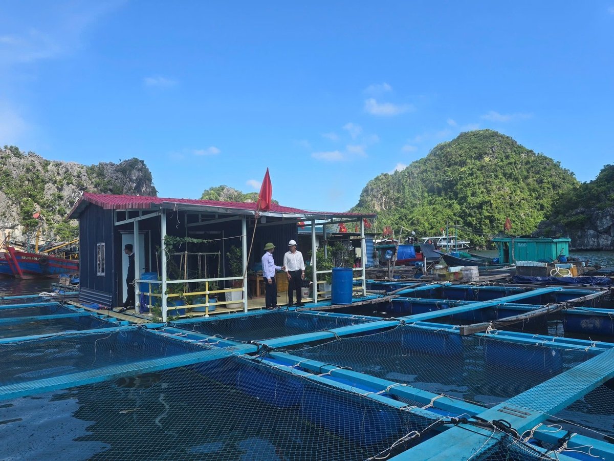 Lồng bè sạch đẹp bằng chất liệu composite của hộ gia đình ông Trần Văn Kíu. Ảnh: Đinh Mười.