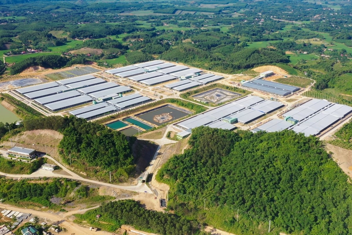 Khu liên hợp sản xuất, chăn nuôi công nghệ cao Xuân Thiện Thanh Hóa 1 được ví như 'thành phố chăn nuôi xanh'. Ảnh: XT.