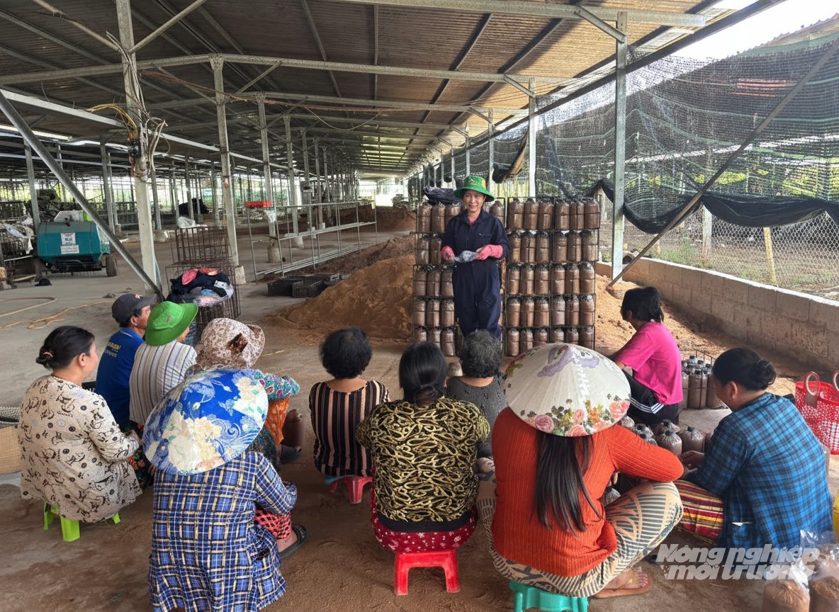 Chị Châu Thị Nương không chỉ điều hành sản xuất mà còn trực tiếp đứng lớp tập huấn, hướng dẫn bà con cách ủ phôi, kiểm soát nhiệt độ, độ ẩm và tái sử dụng phụ phẩm nông nghiệp. Ảnh: Trung Chánh.