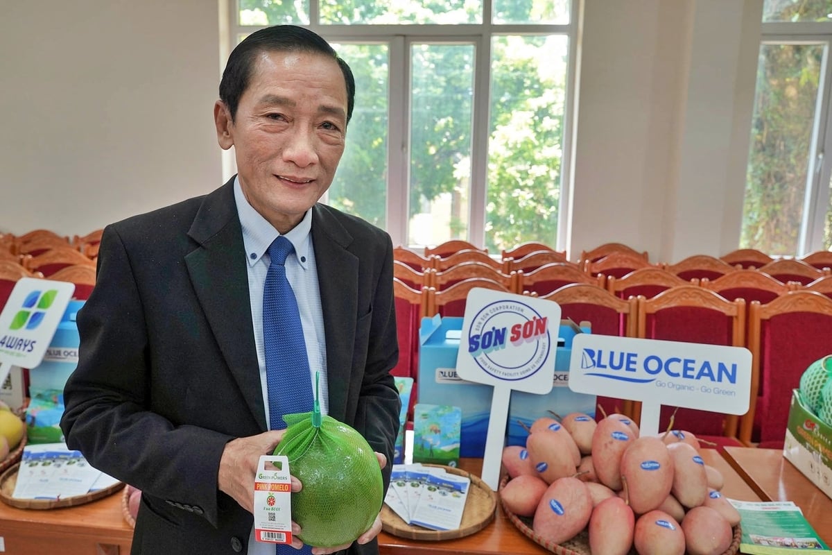 Ông Phan Quốc Nam, Giám đốc kinh doanh Công ty Blue Ocean. Ảnh: Bảo Thắng. Ông Phan Quốc Nam, Giám đốc kinh doanh Công ty Blue Ocean. Ảnh: Bảo Thắng.