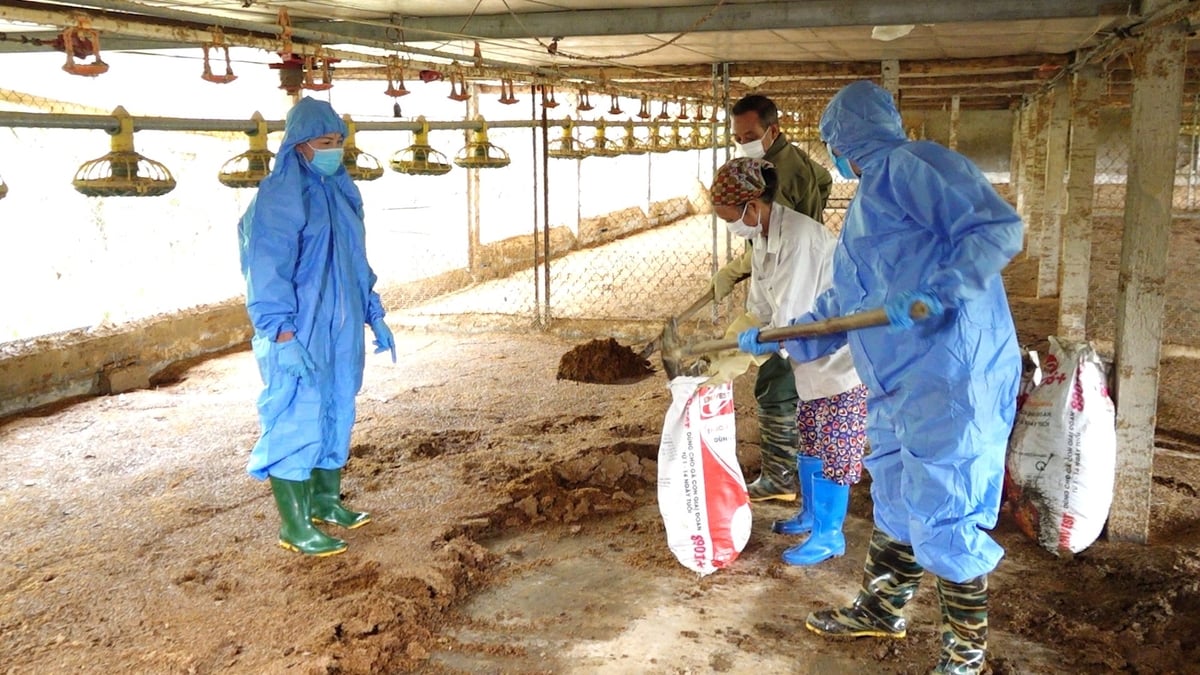 Chuyên gia hướng dẫn xử lý môi trường tại trang trại của ông Nguyễn Ngọc Hiền. Ảnh: Quang Linh.