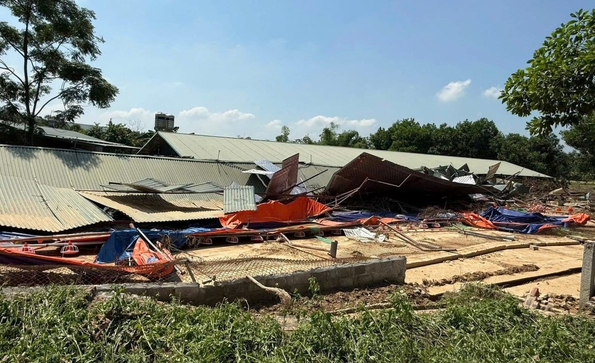 Mưa lũ do cơn bão số 11 gây thiệt hại lớn với ngành nông nghiệp và môi trường Thái Nguyên. Ảnh: Quang Linh.