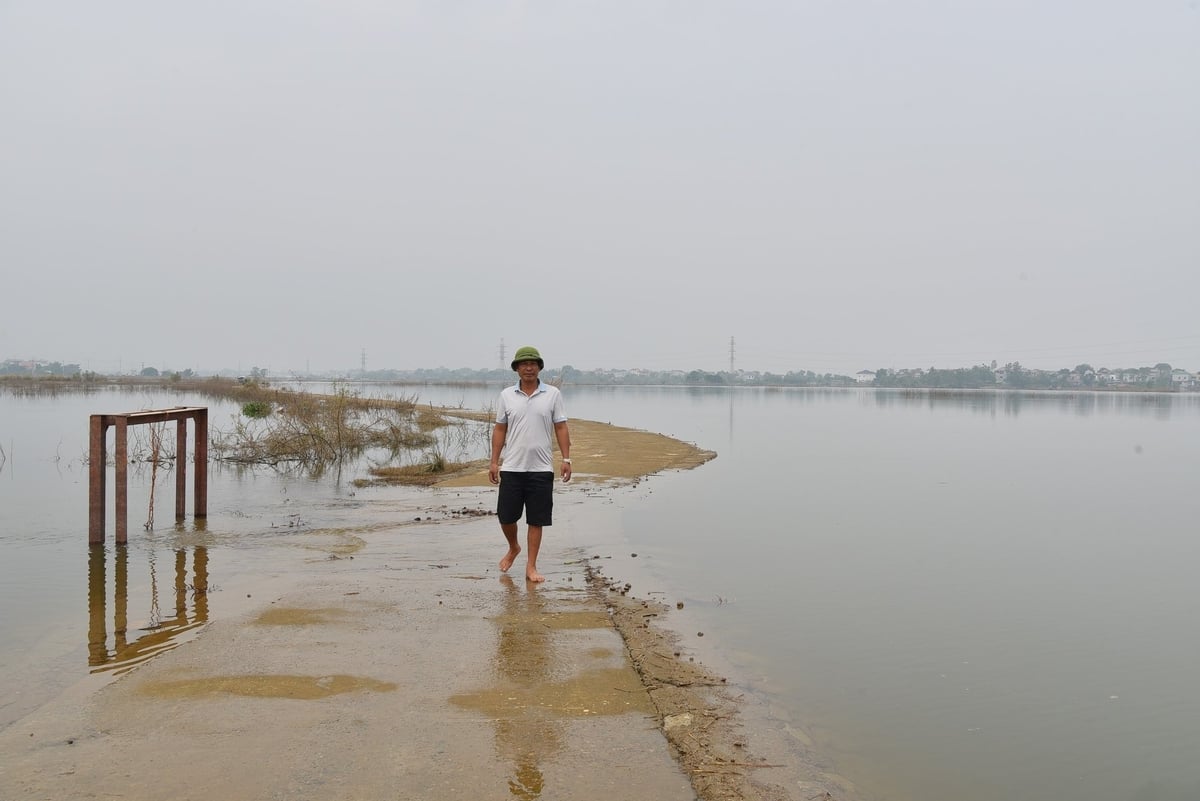 Ông Cấn Hoàng Chiến bên cánh đồng thầu thu cá khách. Ảnh: Dương Đình Tường.