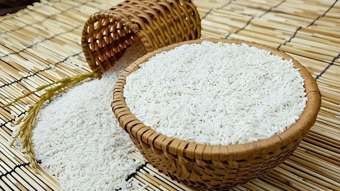 Cập nhật giá lúa gạo hôm nay 9/10/2025 mới nhất