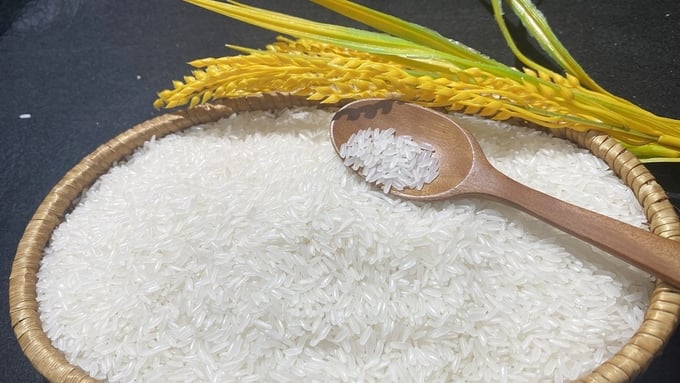 Cập nhật giá lúa gạo hôm nay 29/8/2026 mới nhất Cập nhật giá lúa gạo hôm nay 29/8/2026 mới nhất