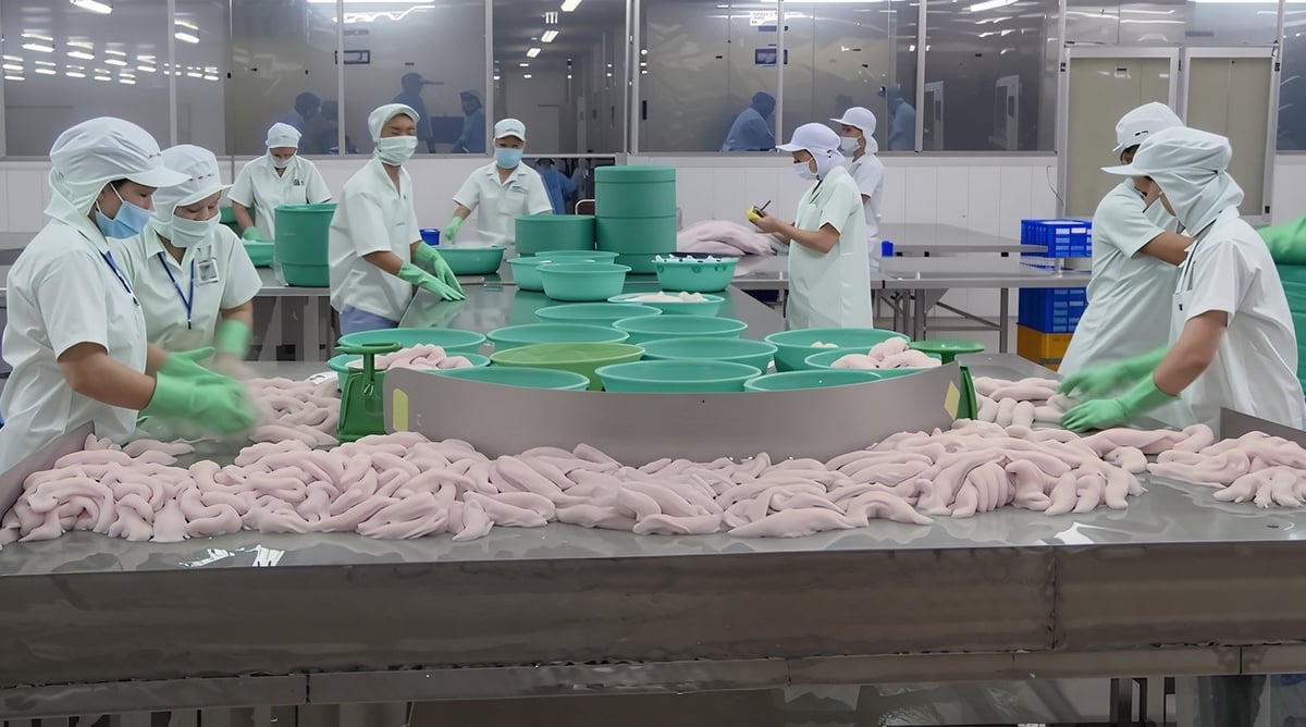 Trong gần 10 năm qua, diện tích nuôi cá tra không tăng nhiều nhưng sản lượng liên tục đi lên, từ 1,11 triệu tấn (2015) lên gần 1,8 triệu tấn (2024). Ảnh: Hồ Thảo.