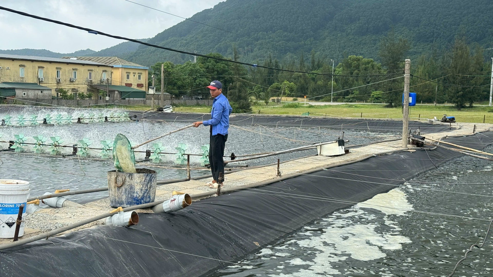 Các hộ nuôi trồng thủy sản đang khẩn trương xử lý nước, cải tạo ao, chuẩn bị nguồn giống phù hợp để tái sản xuất. Ảnh: Ánh Nguyệt.