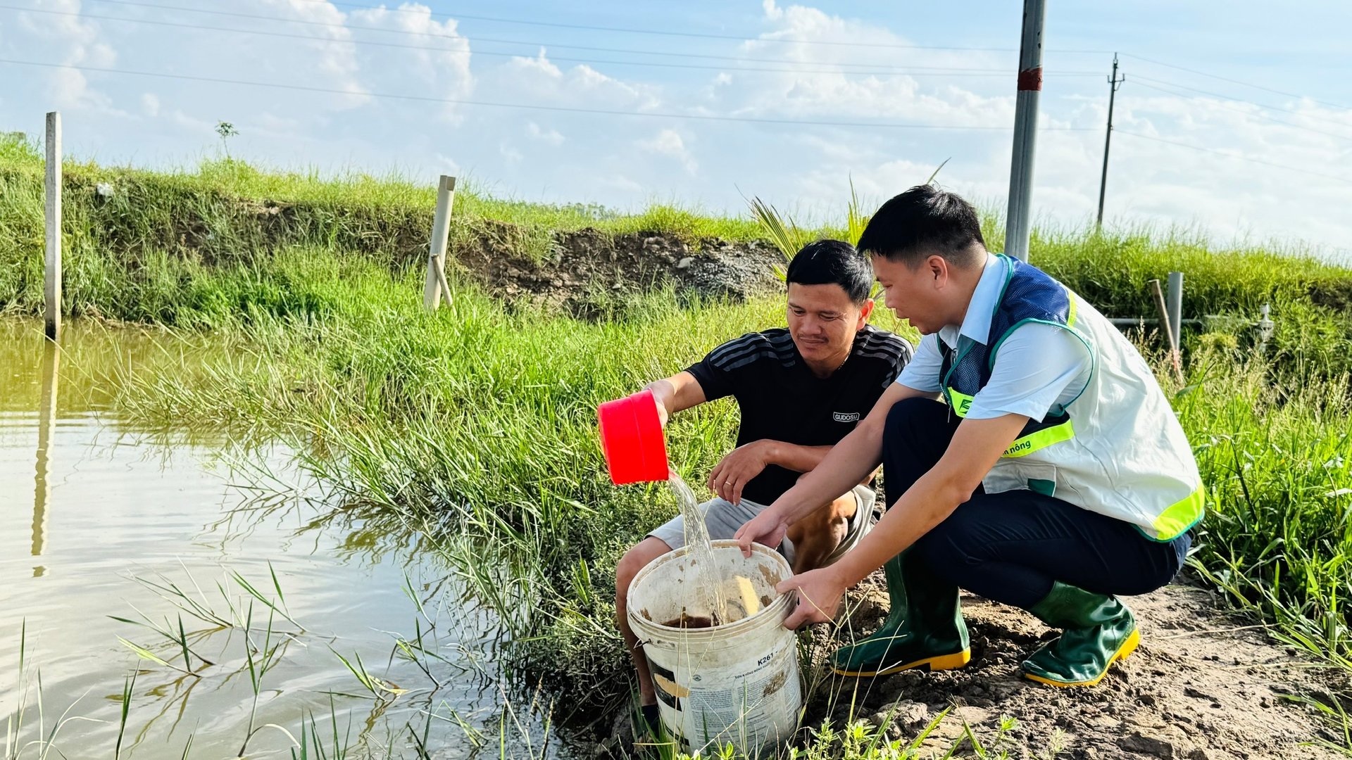 Chính quyền địa phương cùng các cơ quan chuyên môn cử cán bộ xuống tận nơi hướng dẫn kỹ thuật xử lý môi trường ao nuôi để phòng tránh dịch bệnh trên thủy sản. Ảnh: Ánh Nguyệt.