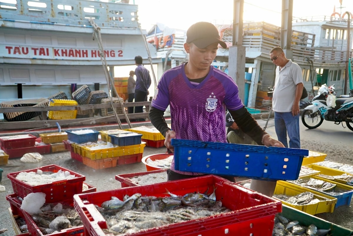Dự án Phát triển thủy sản bền vững của TP. Cần Thơ được kỳ vọng sẽ mang lại chuyển biến tích cực trong công tác giảm nghèo trong vùng đồng bào dân tộc thiểu số. Ảnh: Kim Anh. Dự án Phát triển thủy sản bền vững của TP. Cần Thơ được kỳ vọng sẽ mang lại chuyển biến tích cực trong công tác giảm nghèo trong vùng đồng bào dân tộc thiểu số. Ảnh: Kim Anh.