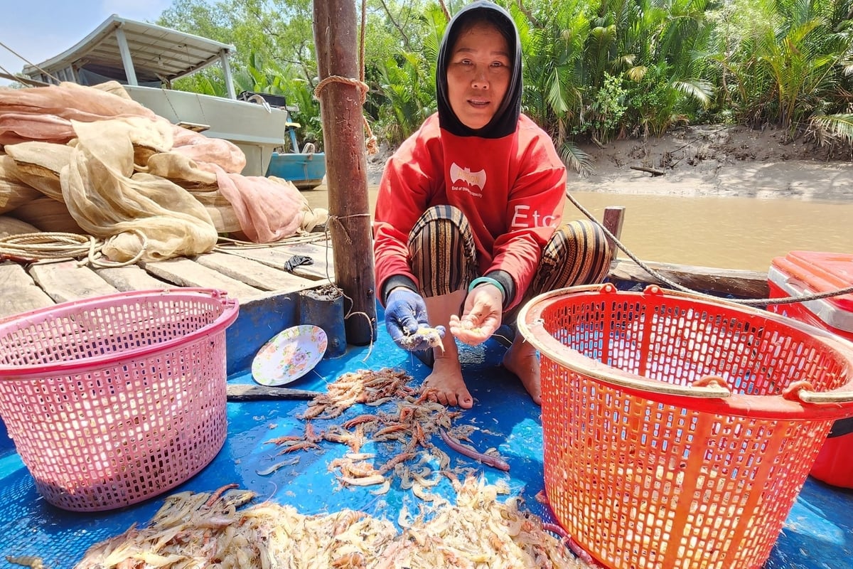 Một bộ phận ngư dân đồng bào dân tộc thiểu số sẽ được định hướng chuyển đổi nghề nghiệp bền vững, giảm phụ thuộc vào khai thác ven bờ. Ảnh: Kim Anh. Một bộ phận ngư dân đồng bào dân tộc thiểu số sẽ được định hướng chuyển đổi nghề nghiệp bền vững, giảm phụ thuộc vào khai thác ven bờ. Ảnh: Kim Anh.