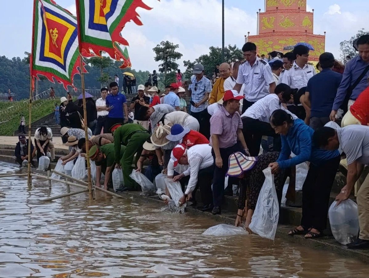 Hơn 5 vạn cá giống các loại được thả xuống sông Lục Đầu, tái tạo nguồn lợi thủy sản. Ảnh: Đinh Mười.