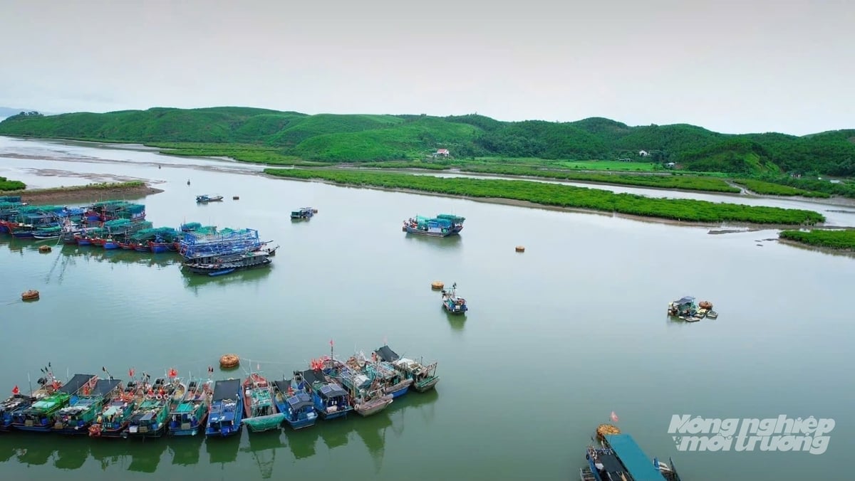 Khu neo đậu tránh trú bão tàu thuyền nghề cá xã Đường Hoa. Ảnh: Đinh Hùng.
